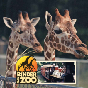 Binder Park Zoo receives $409,700 in grants.